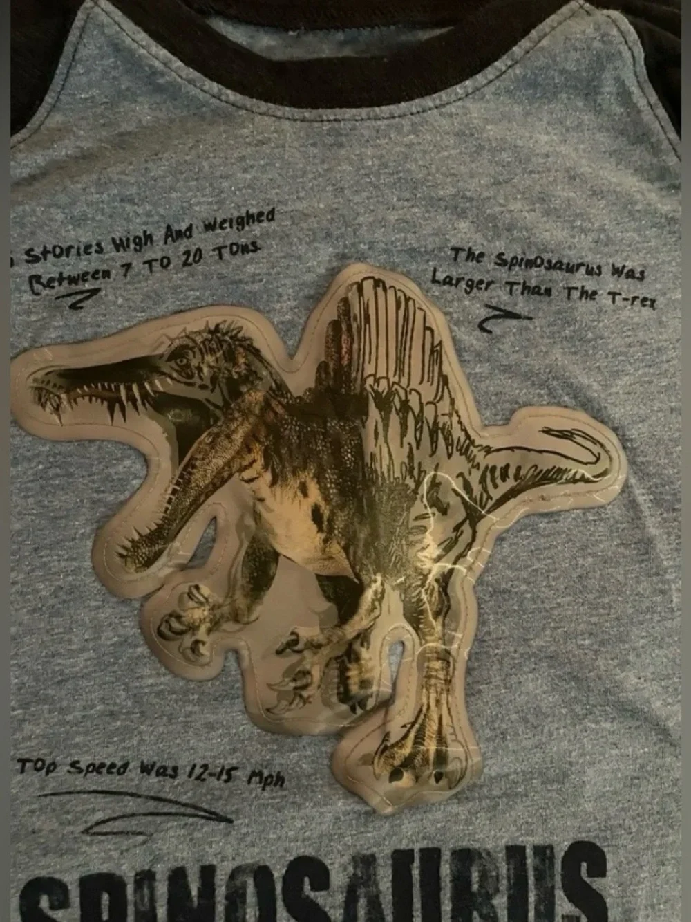 Kids Navy Blue Dinosaur OshKosh Set